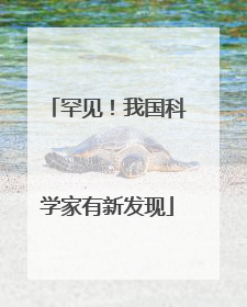 罕见！我国科学家有新发现