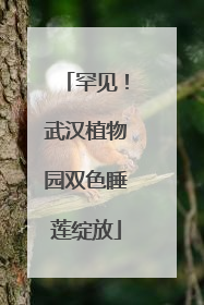 罕见！武汉植物园双色睡莲绽放