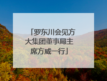 罗东川会见方大集团董事局主席方威一行