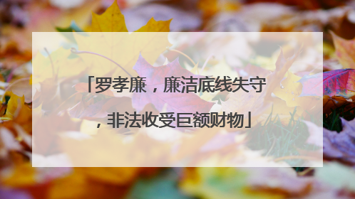 罗孝廉，廉洁底线失守，非法收受巨额财物