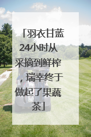 羽衣甘蓝24小时从采摘到鲜榨，瑞幸终于做起了果蔬茶