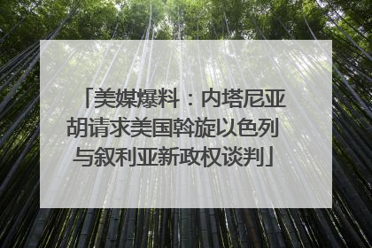 美媒爆料：内塔尼亚胡请求美国斡旋以色列与叙利亚新政权谈判