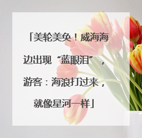 美轮美奂！威海海边出现“蓝眼泪”，游客：海浪打过来，就像星河一样
