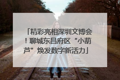 精彩亮相深圳文博会！聊城东昌府区“小葫芦”焕发数字新活力
