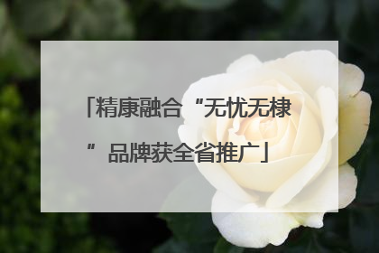 精康融合“无忧无棣”品牌获全省推广