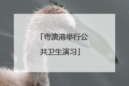 粤澳港举行公共卫生演习