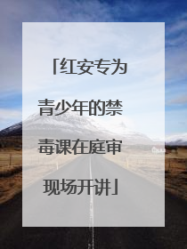 红安专为青少年的禁毒课在庭审现场开讲