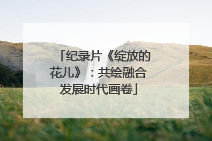 纪录片《绽放的花儿》：共绘融合发展时代画卷