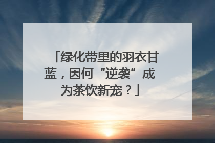 绿化带里的羽衣甘蓝，因何“逆袭”成为茶饮新宠？