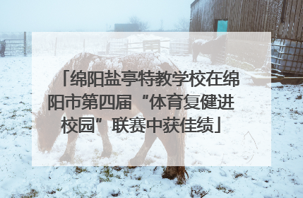 绵阳盐亭特教学校在绵阳市第四届“体育复健进校园”联赛中获佳绩