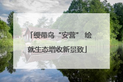 绶带鸟“安营” 绘就生态增收新景致