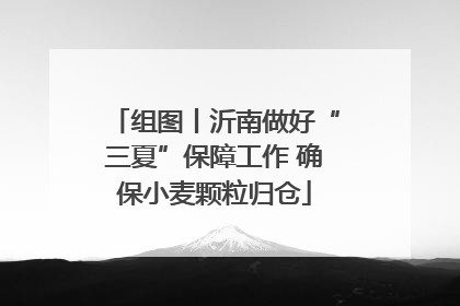 组图丨沂南做好“三夏”保障工作 确保小麦颗粒归仓