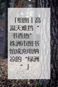 组图丨高温天难挡“书香热” 株洲市图书馆成充电纳凉的“绿洲”