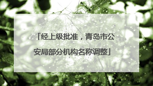 经上级批准，青岛市公安局部分机构名称调整