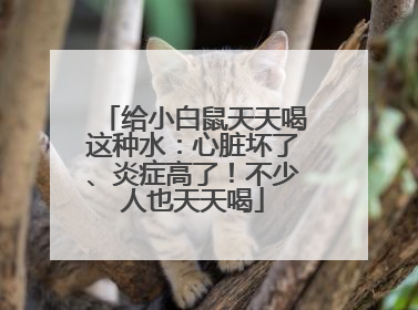 给小白鼠天天喝这种水：心脏坏了、炎症高了！不少人也天天喝