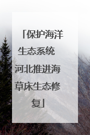 保护海洋生态系统 河北推进海草床生态修复