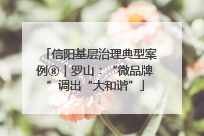 信阳基层治理典型案例⑧｜罗山：“微品牌”调出“大和谐”