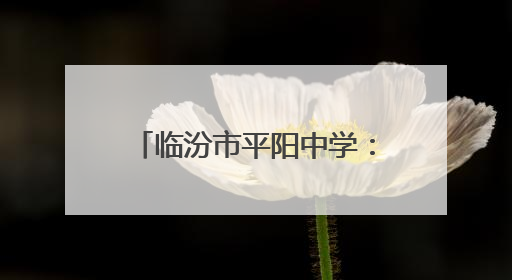 临汾市平阳中学：青春向党担使命 团徽闪耀践初心
