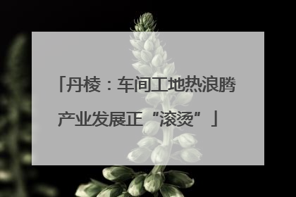 丹棱：车间工地热浪腾产业发展正“滚烫”