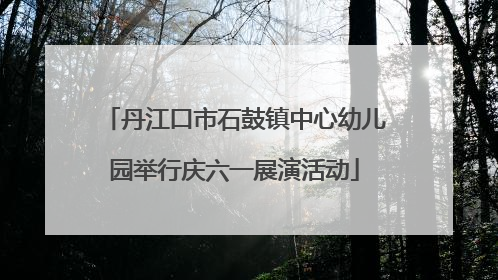 丹江口市石鼓镇中心幼儿园举行庆六一展演活动