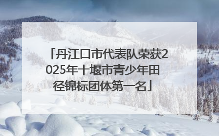丹江口市代表队荣获2025年十堰市青少年田径锦标团体第一名