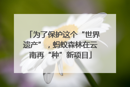 为了保护这个“世界遗产”，蚂蚁森林在云南再“种”新项目