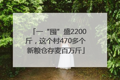 一“囤”盛2200斤，这个村470多个新粮仓存麦百万斤