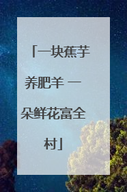 一块蕉芋养肥羊 一朵鲜花富全村