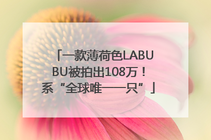 一款薄荷色LABUBU被拍出108万！系“全球唯一一只”