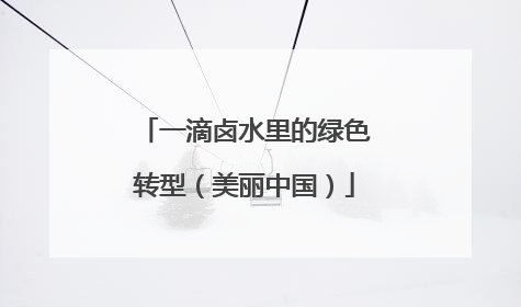 一滴卤水里的绿色转型（美丽中国）