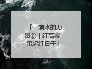 一滴水的力量⑨｜红高粱串起红日子