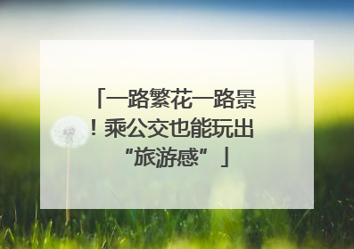 一路繁花一路景！乘公交也能玩出“旅游感”