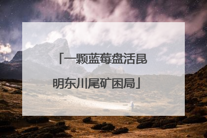 一颗蓝莓盘活昆明东川尾矿困局