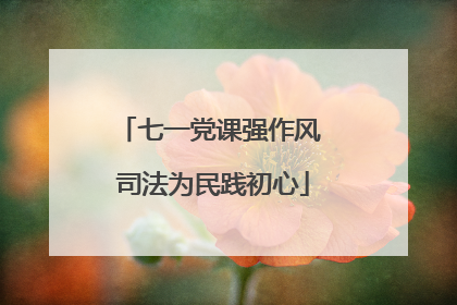 七一党课强作风 司法为民践初心