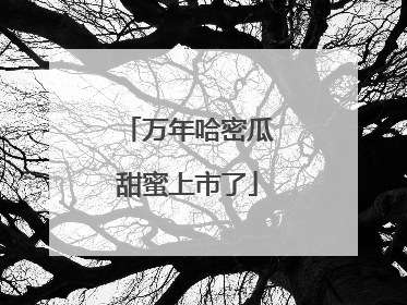 万年哈密瓜甜蜜上市了