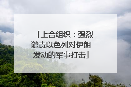 上合组织：强烈谴责以色列对伊朗发动的军事打击