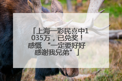 上海一彩民喜中1035万，已兑奖！感慨 “一定要好好感谢我兄弟”