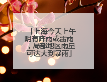 上海今天上午阴有阵雨或雷雨，局部地区雨量可达大到暴雨