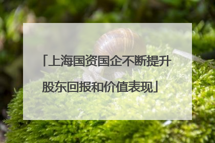 上海国资国企不断提升股东回报和价值表现
