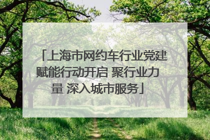 上海市网约车行业党建赋能行动开启 聚行业力量 深入城市服务