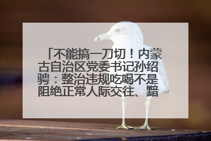 不能搞一刀切！内蒙古自治区党委书记孙绍骋：整治违规吃喝不是阻绝正常人际交往、黯淡人间烟火