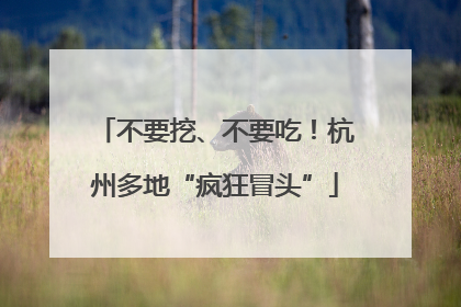 不要挖、不要吃！杭州多地“疯狂冒头”