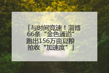 与时间竞速！淄博66条“金色通道”跑出156万亩夏粮抢收“加速度”