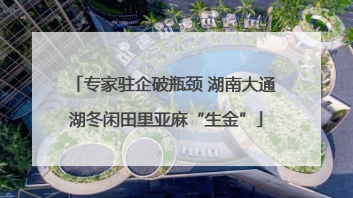 专家驻企破瓶颈 湖南大通湖冬闲田里亚麻“生金”