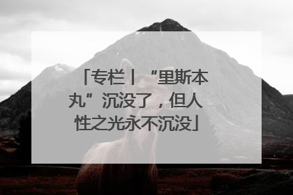 专栏丨“里斯本丸”沉没了，但人性之光永不沉没
