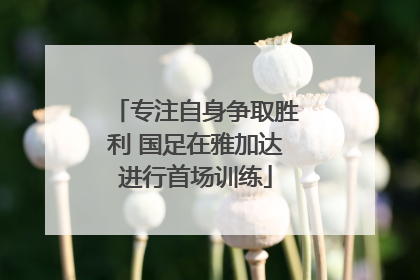 专注自身争取胜利 国足在雅加达进行首场训练