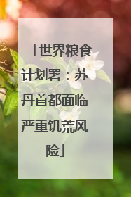 世界粮食计划署：苏丹首都面临严重饥荒风险