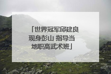 世界冠军邱建良现身彭山 指导当地职高武术班