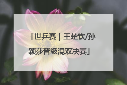 世乒赛｜王楚钦/孙颖莎晋级混双决赛