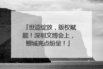 世遗绽放，版权赋能！深圳文博会上，鲤城亮点纷呈！